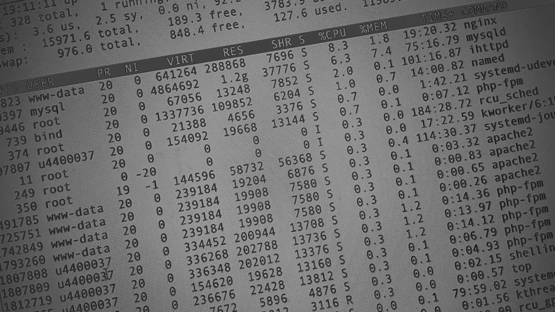 Настройка сервера в Кизляре Настройка сервера в Кизляре